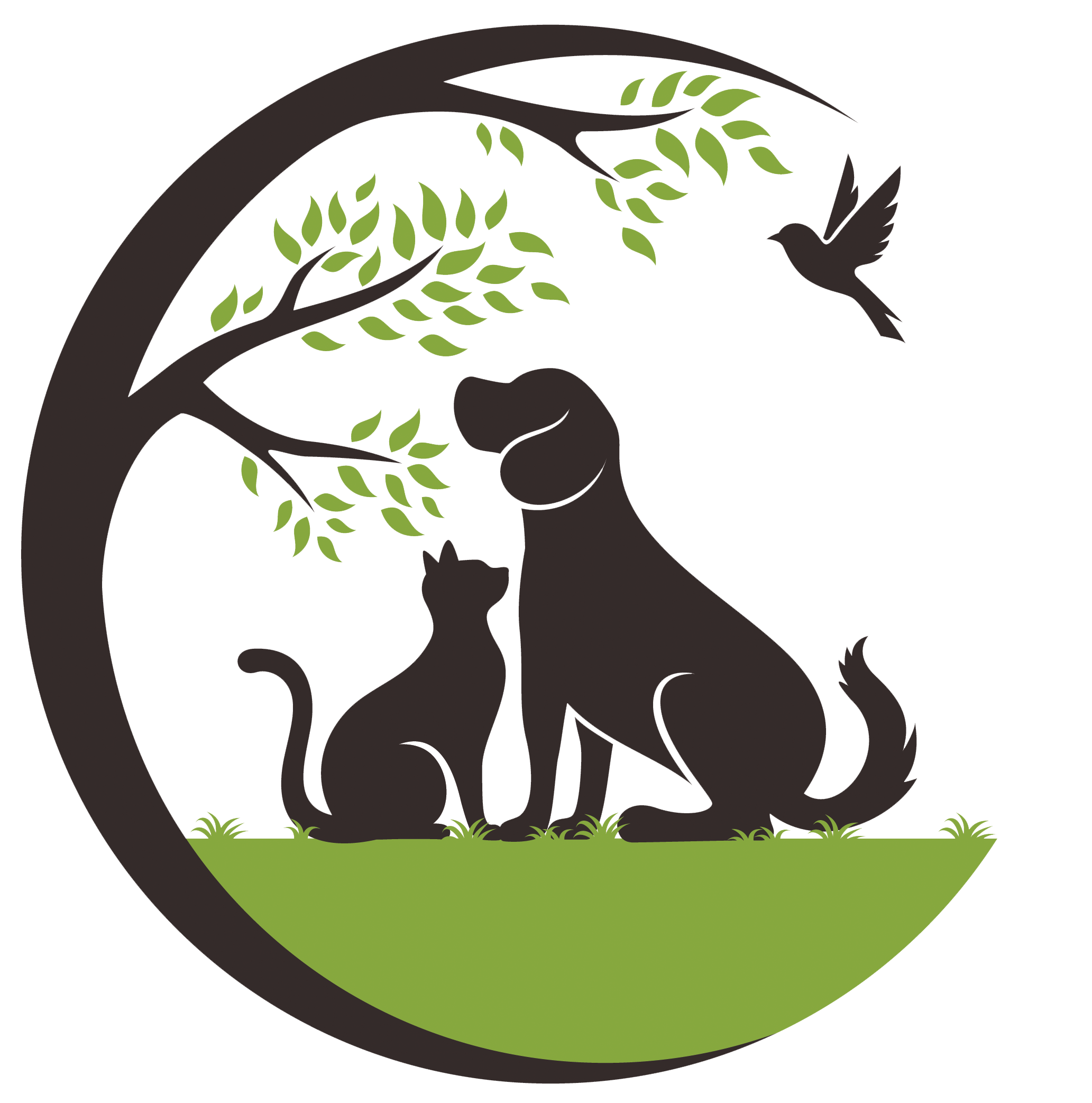 vue-vet-front2.pages.dev favicon